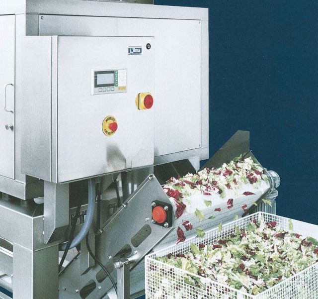 Industrial Stainless VEGETABLE DRYER CONTINUOUS For Sale New Nilma