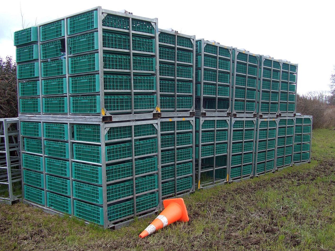 Storage Racks For Poultry For Sale NZ Used Ex Poultry Transporting Racks with Plastic Crates