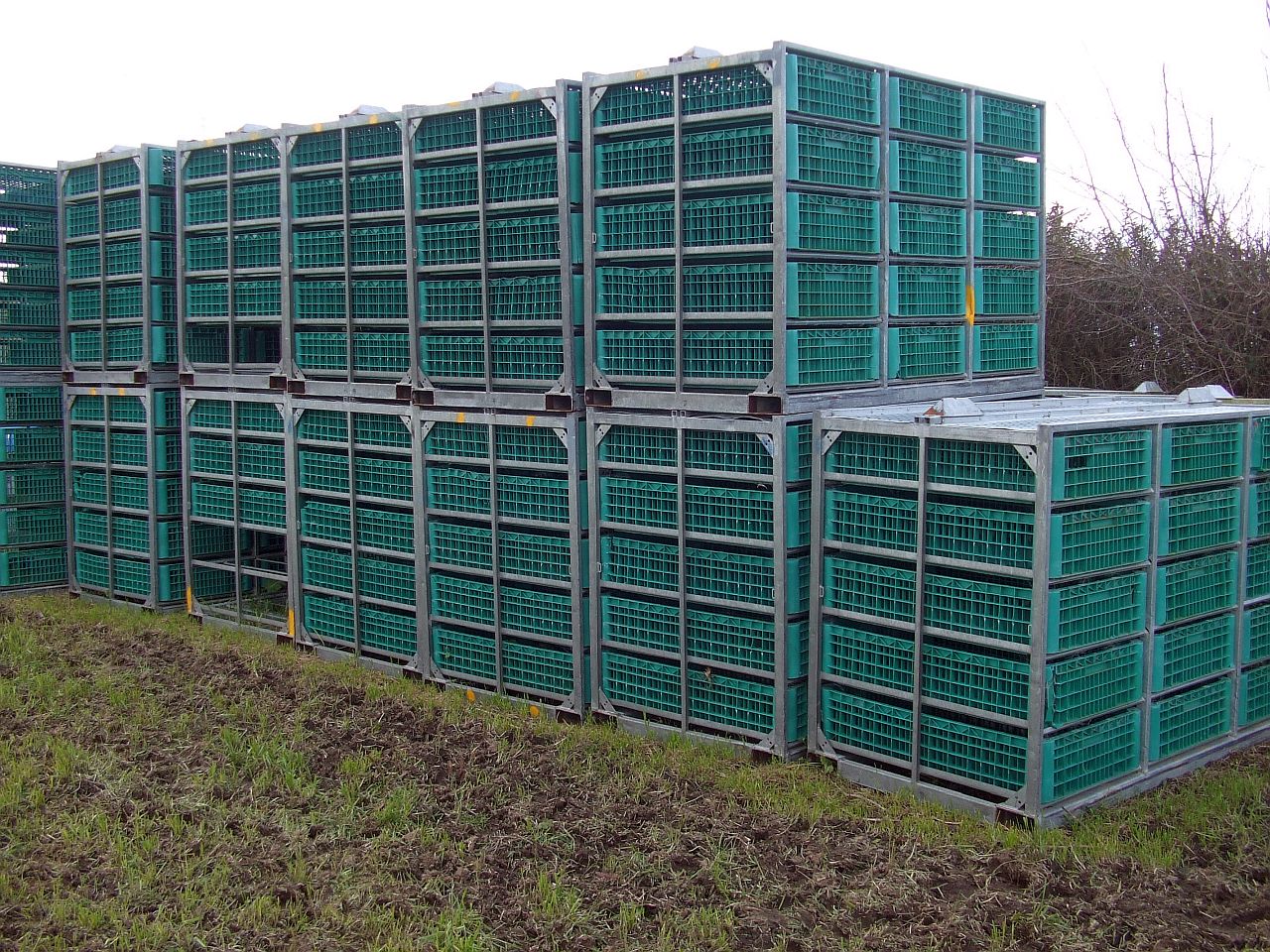 Storage Racks For Poultry For Sale NZ Used Ex Poultry Transporting Racks with Plastic Crates