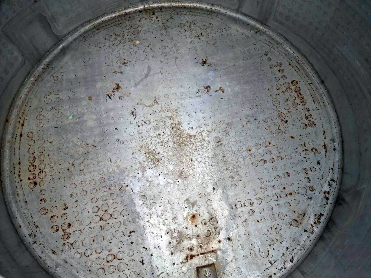 Used Fully Stainless Steel Dimple Jacketed Tanks for sale NZ